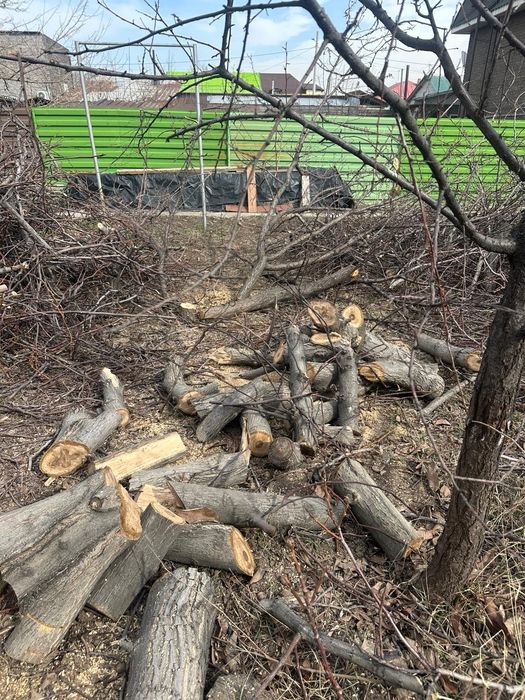 Дрова  бесплатно