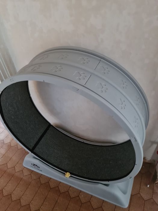 Беговое колесо для кошек