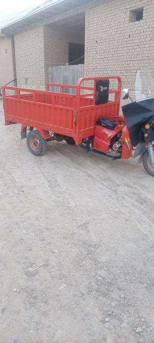 Lochin muravey srochni sotiladi