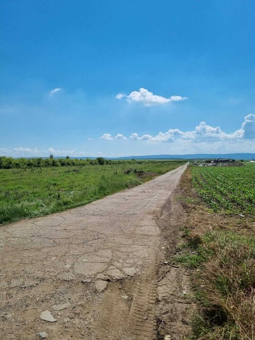 Teren extravilan Miroslava 722 mp - zona fermei Liliac - oportunitate de investitie - 9.900 euro parcela neg