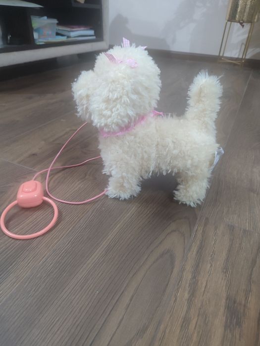 Малко ходещо кученце