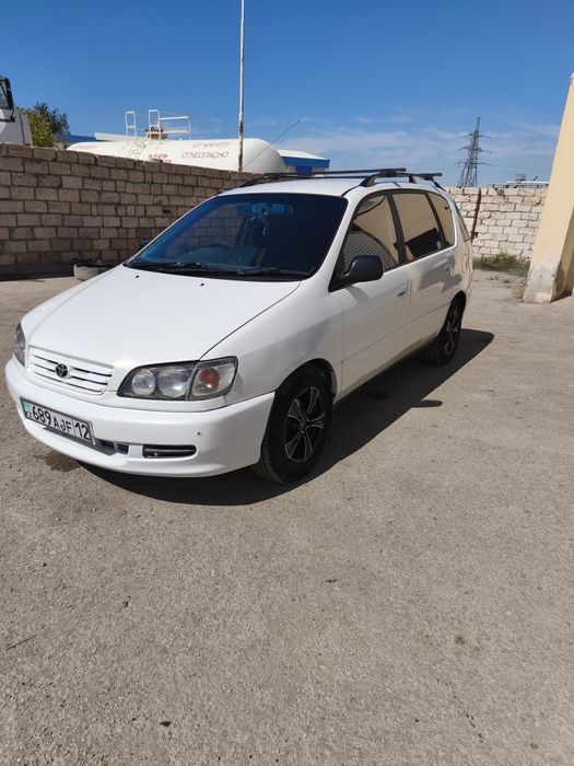 Продам Ипсум автомат