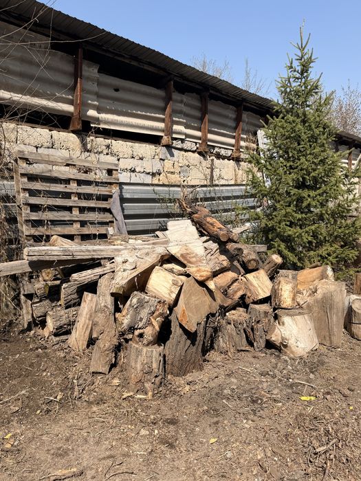 Дрова самовывоз клен.