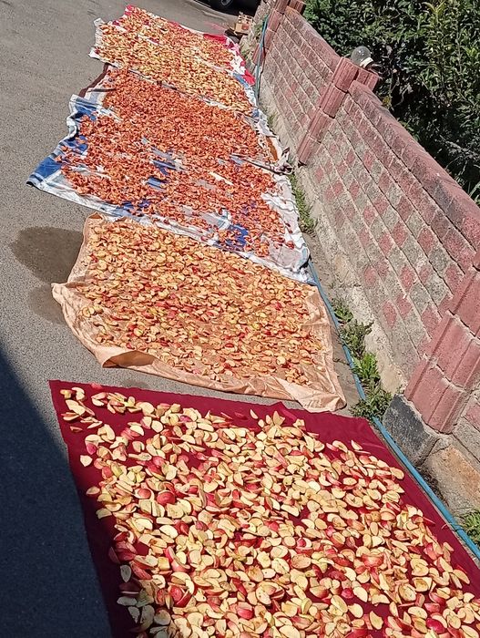Яблоки от 70 ТГ до 400 ТГ о