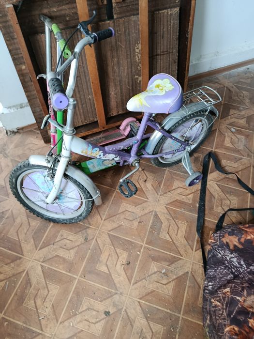 Отдам даром в одни руки