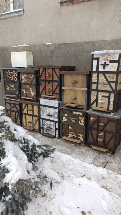 Продам мини пасику  пчёлы с ульями Карника  Бакфаст