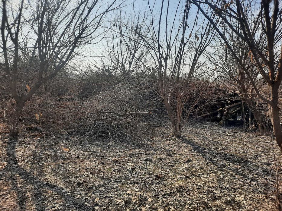 O'tin sotiladi 2 telejka