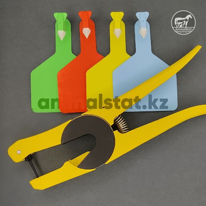 Чипирование – это просто, быстро и надежно!