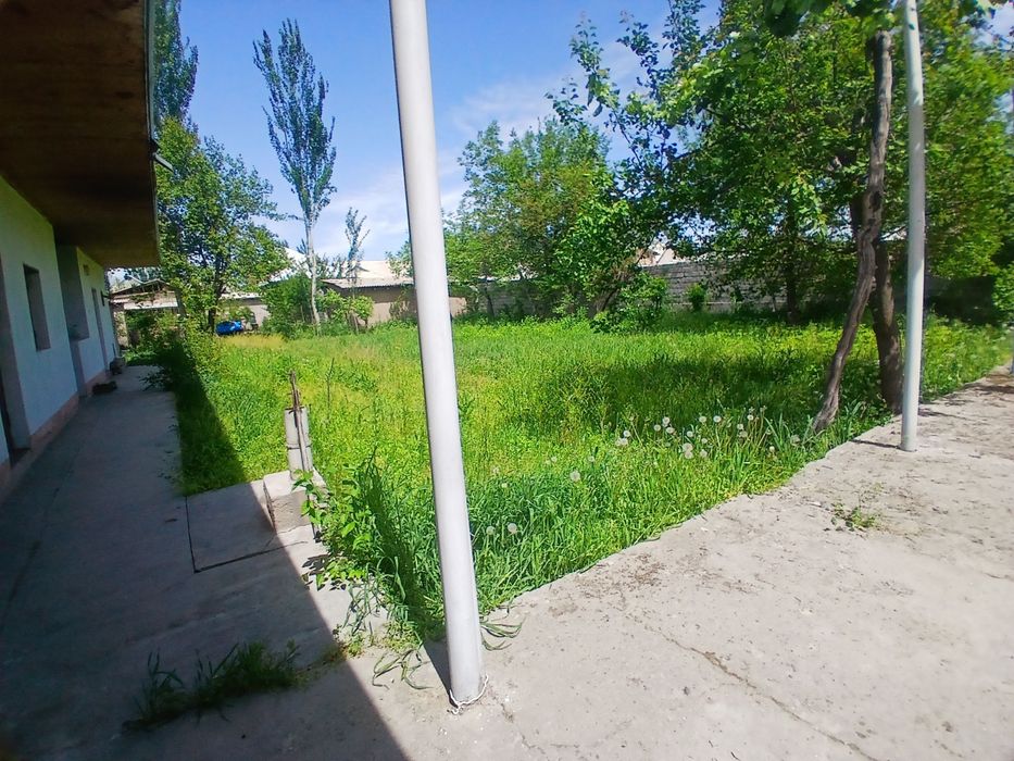 Uzun tumanida Hovli sotiladi