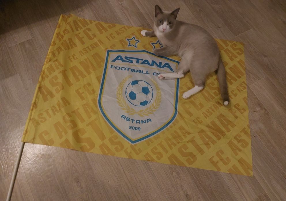 2 флага за 4000 тг