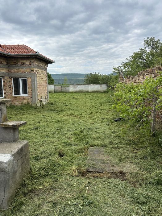 премахване на опасни дървета , косене
