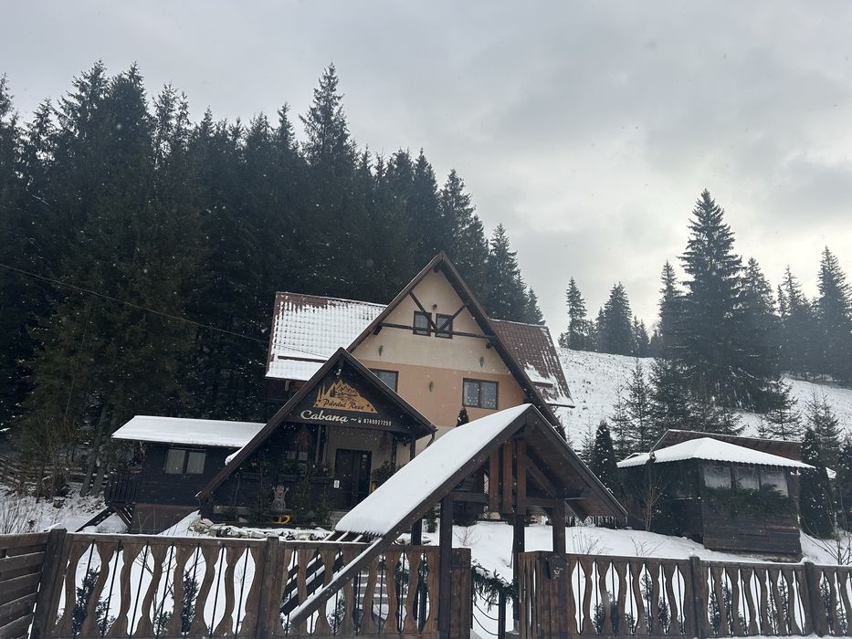 Cabana  Pensiunea paraul rece si Ciubar in Bucovina !
