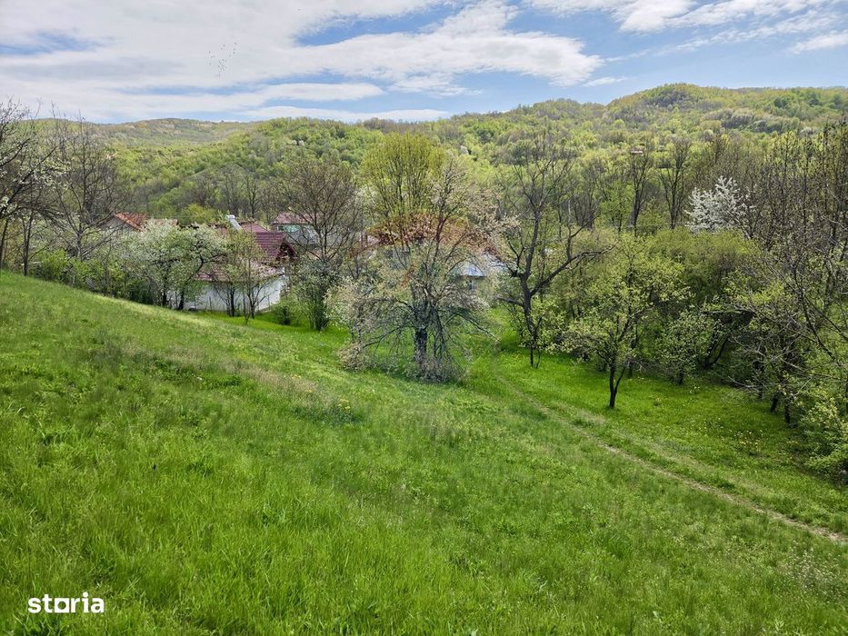 Teren intravilan 4.733 mp - Drajna de Jos, Prahova