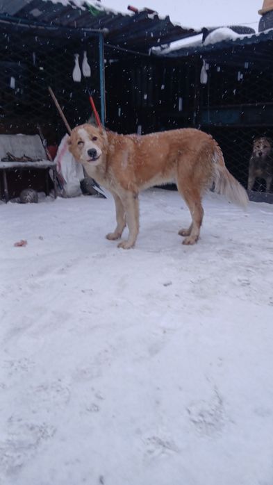 Девочка девять месяцев