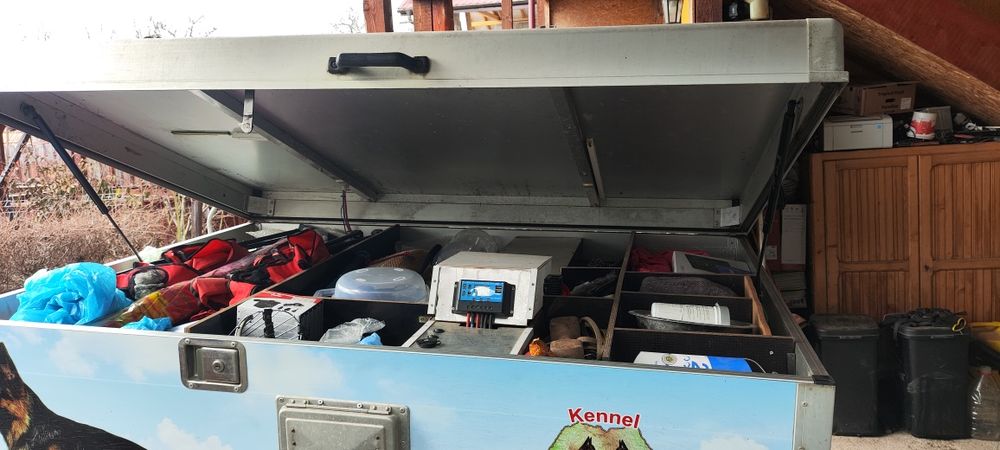 Remorca transport caini