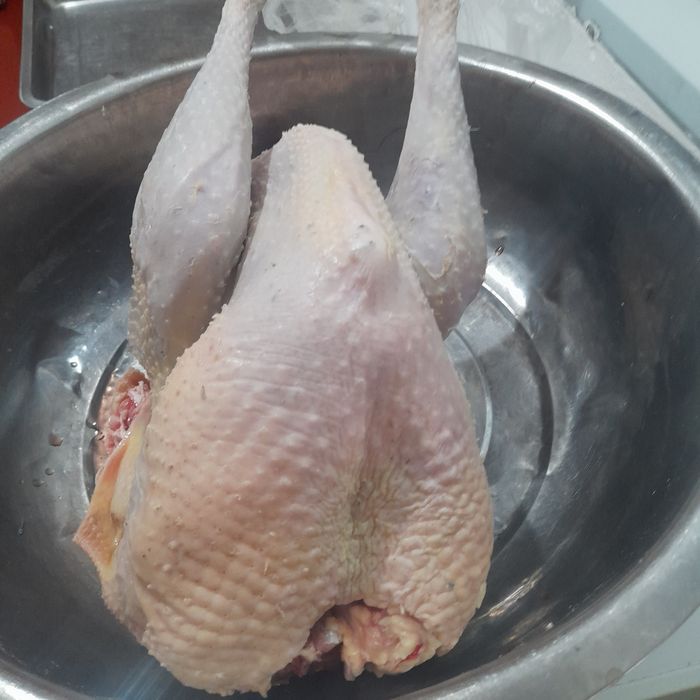 Индюки. Домашние