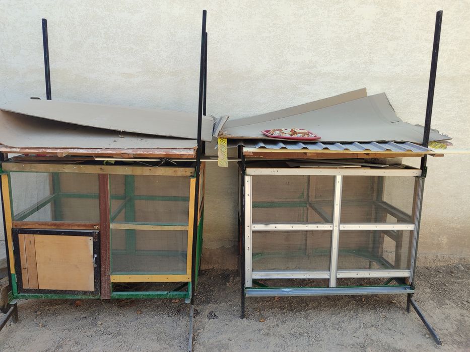 Ин сотилади яахши янги товукларга