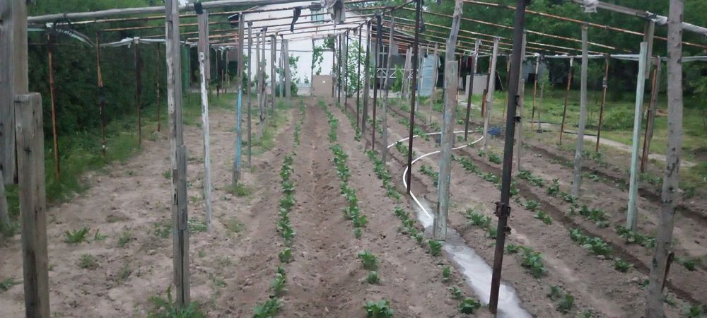 Дача сотилади 6 сотих  уй билан 4 х хона,гараж .