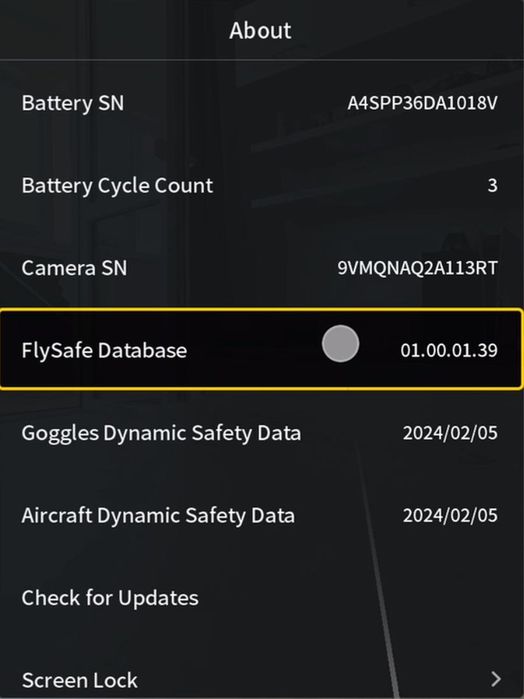 DJI Avata 360 Motion Fly More Combo cu DJI Googles N3