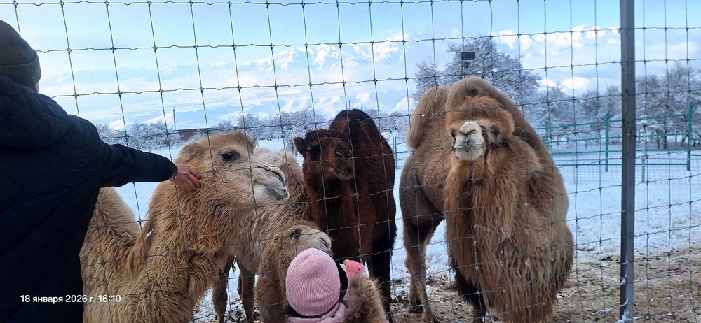 5 та локацияга саёхат