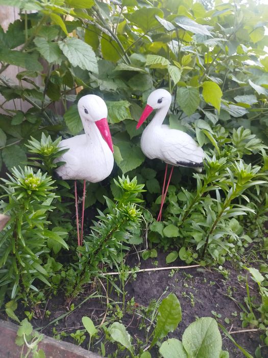 Дача, продам, пять соток