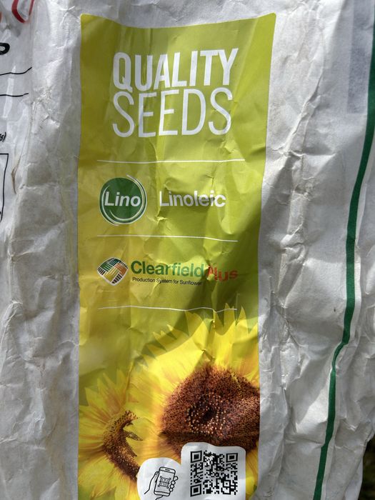 seminte de floarea soarelui