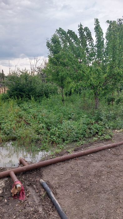 Продажа дачи на бугорках