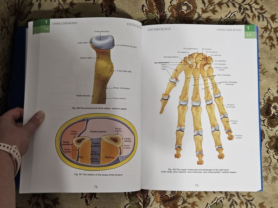 Atlase de anatomie Zanoschi