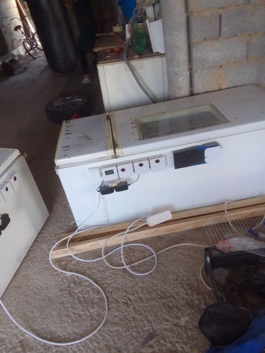 Инкубатор автоматически