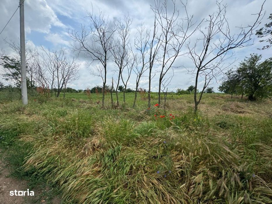 Teren Intravilan– 2.156 mp, zona Preajba