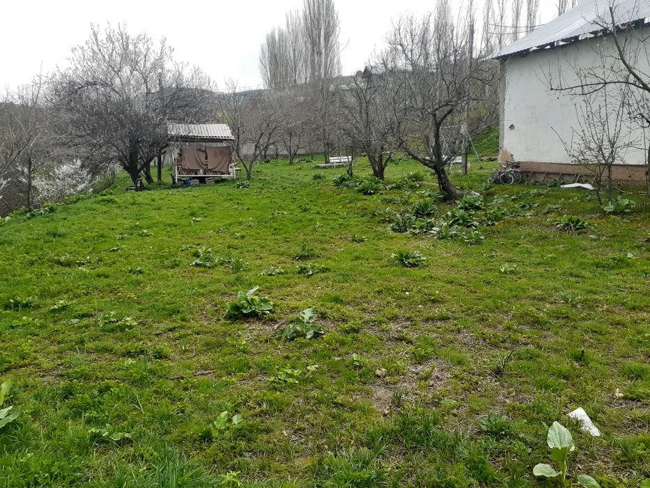 Uy sotiladi 10 sotix