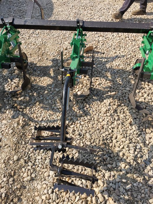 Tavalugi prasitoare rarita