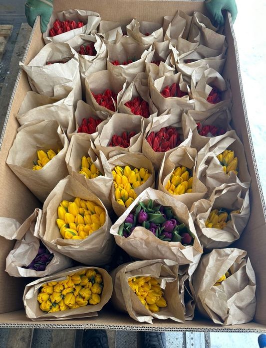 Тюльпаны Продажа на 8 марта