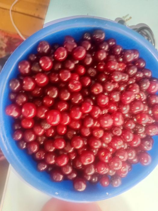 Продам чёрную смородину