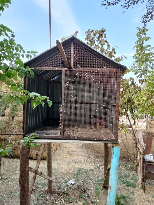 Продается волерь