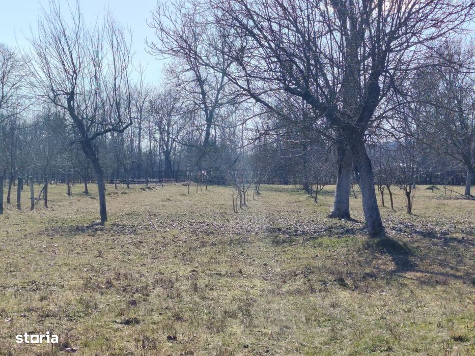teren munte - Domnesti Arges , 25km de C. de Ag