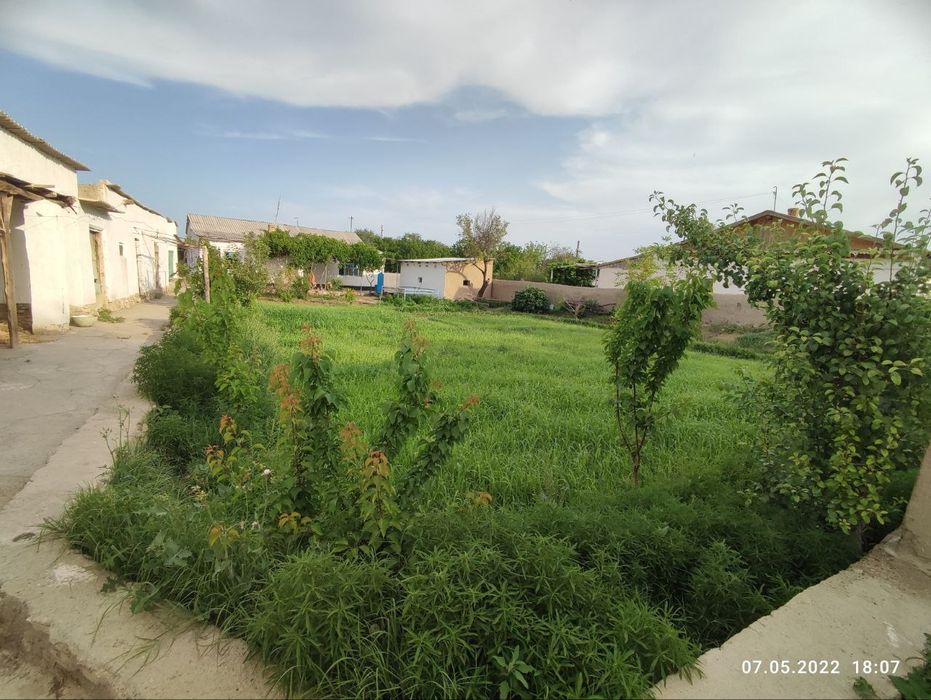 Xovli Konimex tumanida