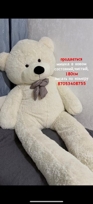 мишка в новом состояний