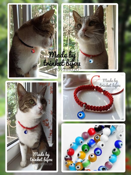 Ошейник от сглаза для котов, кошечек и собак мелких пород.