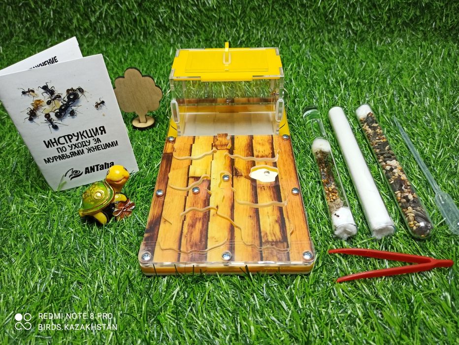 Муравьиная ферма + Муравьи Жнецы