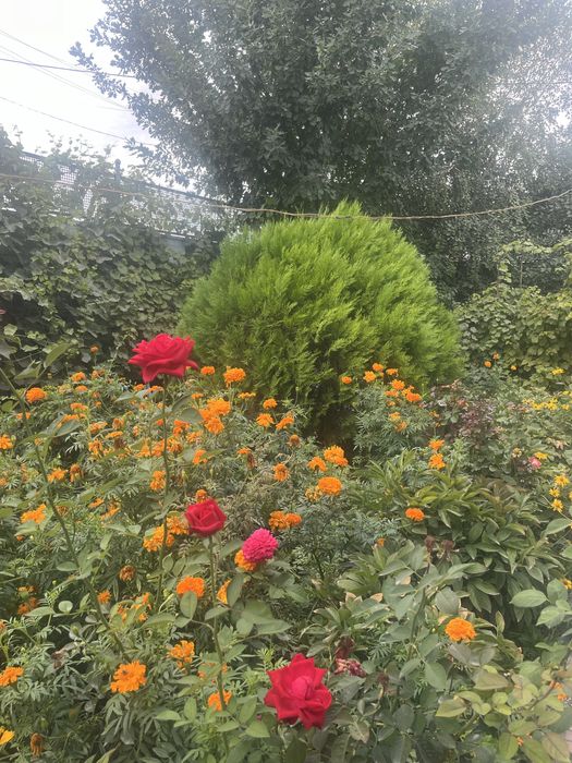 Продается дом