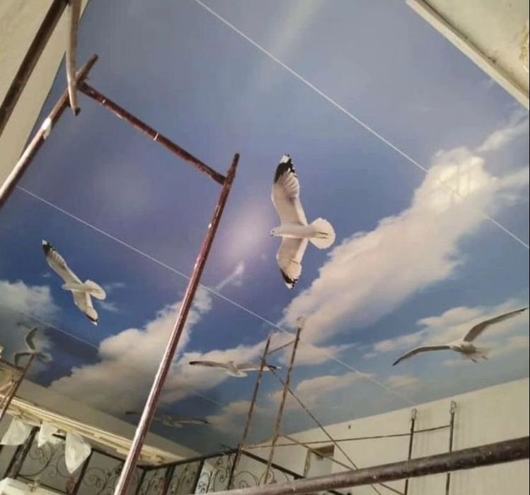 Натяжной потолок