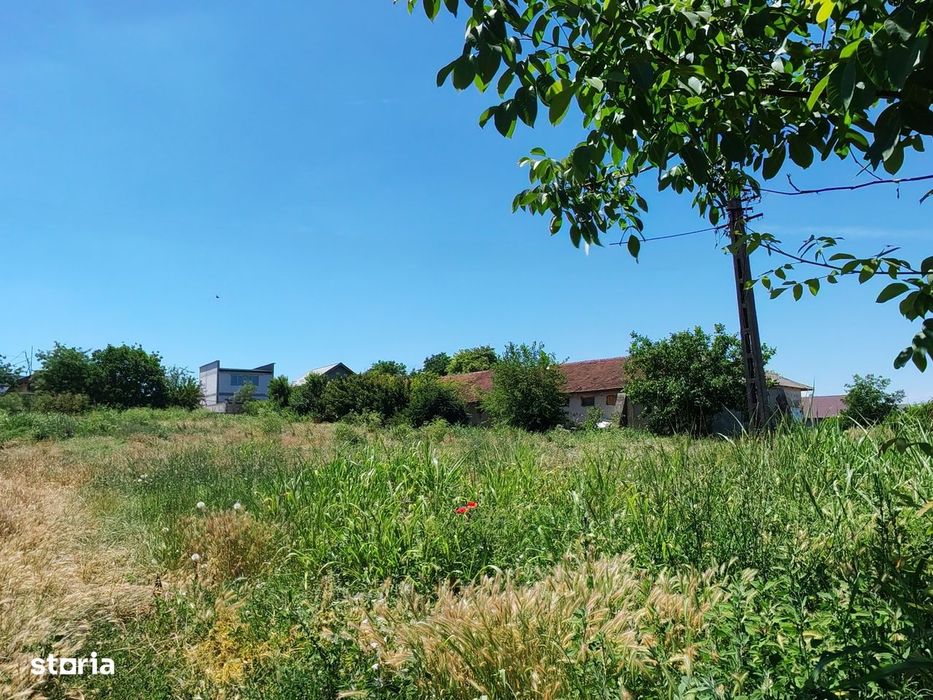 Comision0%-AlmanImobiliare-Oportunitate-TerenIntravilan-ValuLuiTraian