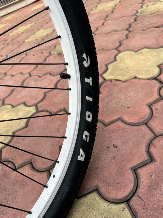 Bicicleta nota 10/10