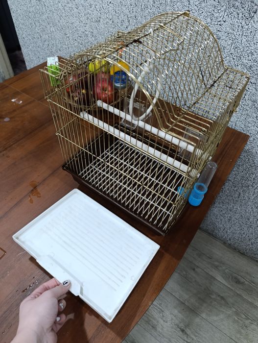 Клетка для попугаев.