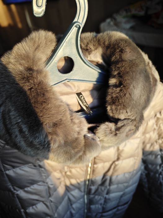 Продам пальто женское