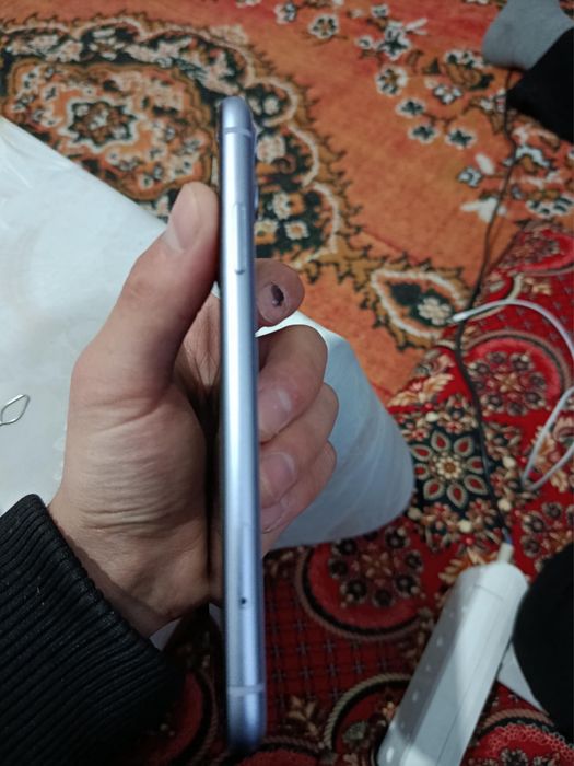 Iphone 11 ideal ideal