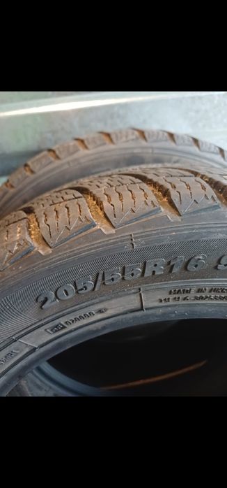 Продам все сезонные ризины