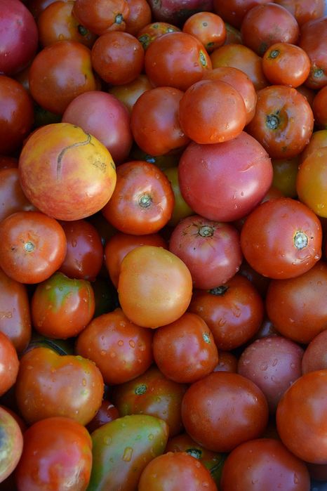 Продам помидоры домашние