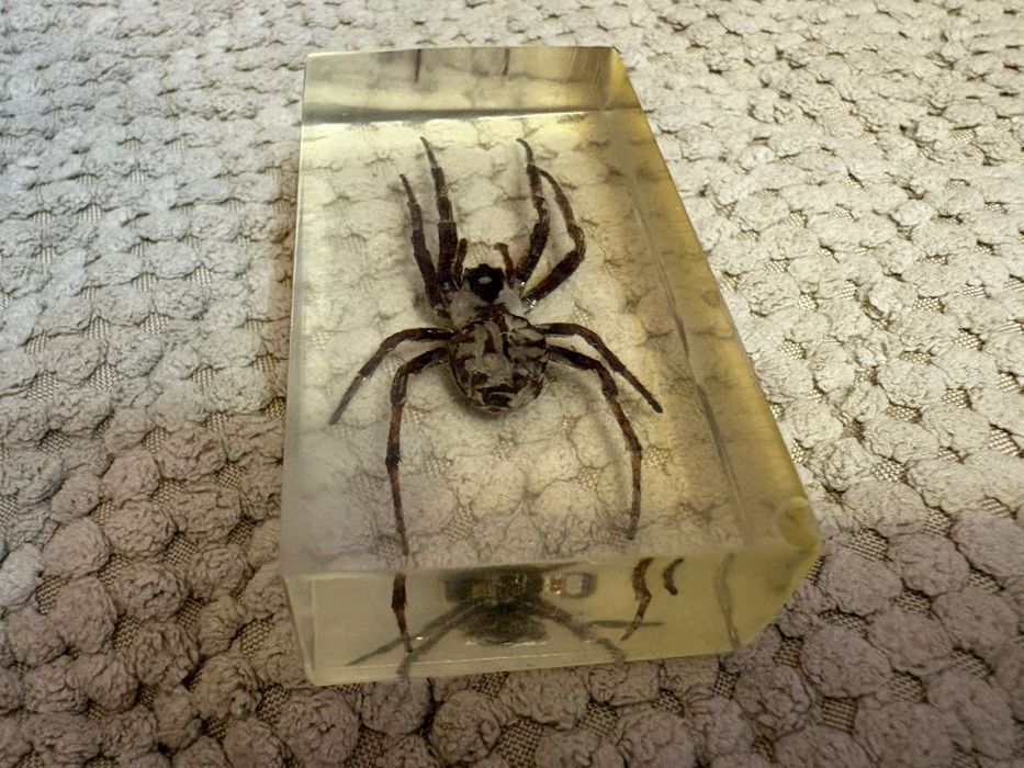 Продам набор насекомых в смоле.